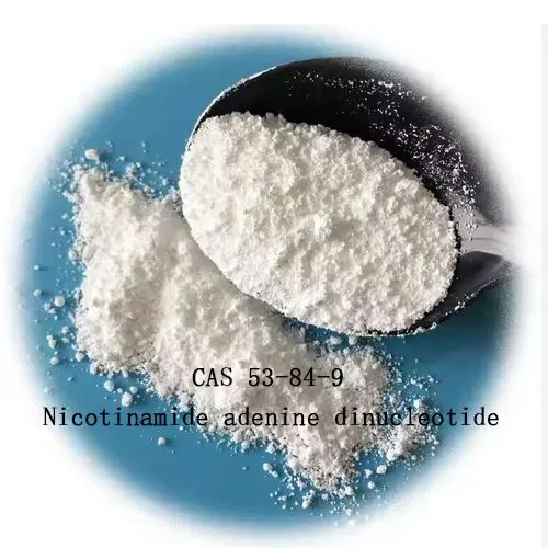 99% nicotinamide adenine tinucleotide Nad rau kev tiv thaiv kev laus CAS 53-84-9