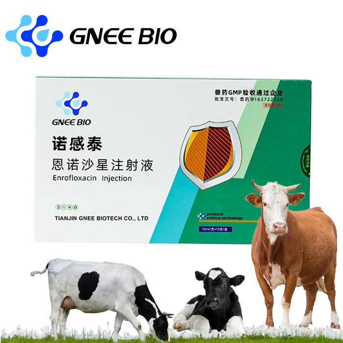 Enrofloxacin Injection for Cattle and Pigs Enrofloxacin Injection for Cattle and Pigs