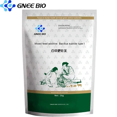 Bacillus Subtilis Hom II